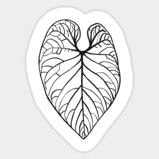 Anthurium regale Sticker